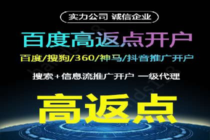 百度推广与SEO结合的营销策略案例分享